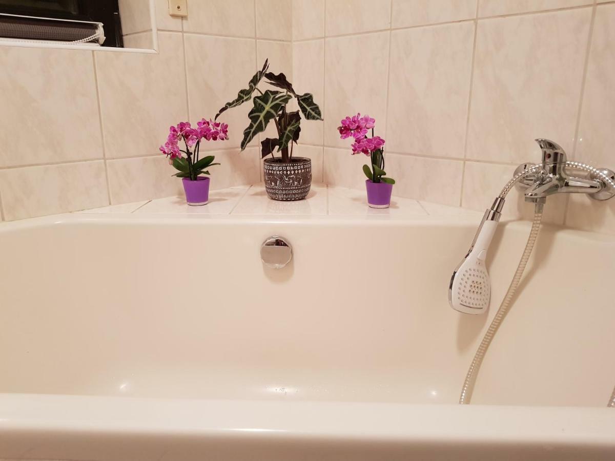 Ferienwohnung Tinas Beauty Некарщайнах Екстериор снимка